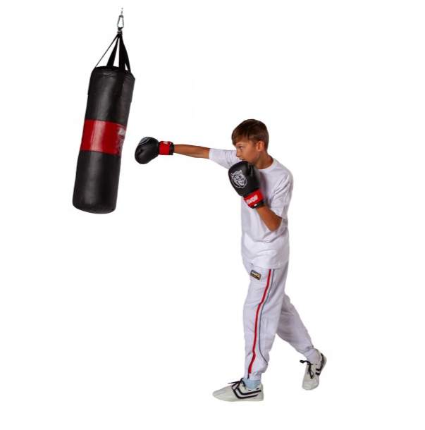 Kwon Boxsack Tiger