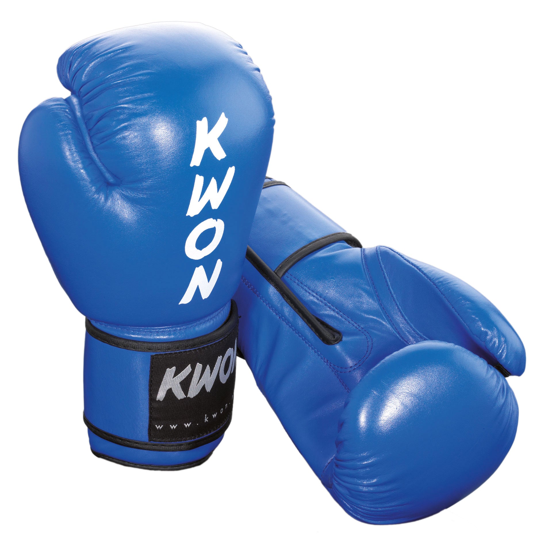 Kwon Boxhandschuhe Ergo Champ 10oz